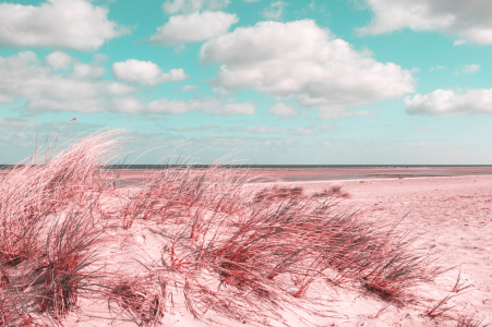 Bild-Nr: 12074188 Strand Träume in pink  Erstellt von: Tanja Riedel