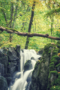 Bild-Nr: 12118144 Wasserfall im Herbstwald Erstellt von: luxpediation