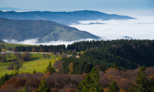 Bild-Nr: 12119165 Herbst im Schwarzwald Erstellt von: KundenNr-327281