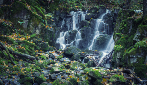 Bild-Nr: 12147331 Wasserfall im Wald Erstellt von: luxpediation