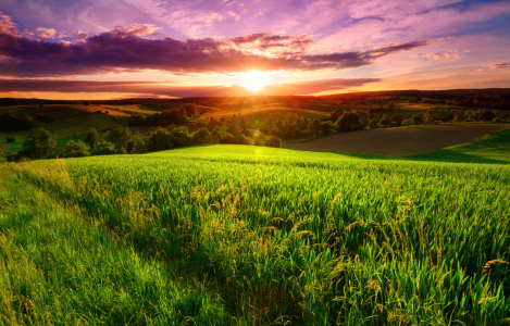 Bild-Nr: 12231090 Farbenfroher Sonnenuntergang auf grünem Feld Erstellt von: Smileus
