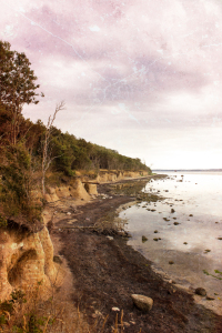 Bild-Nr: 12257541 Steilküste Timmendorf Strand Erstellt von: yammay