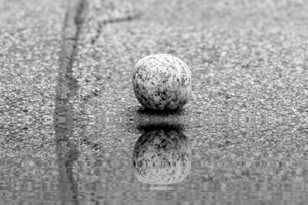 Bild-Nr: 12743402 A rolling stone gathers no moss Erstellt von: volker heide