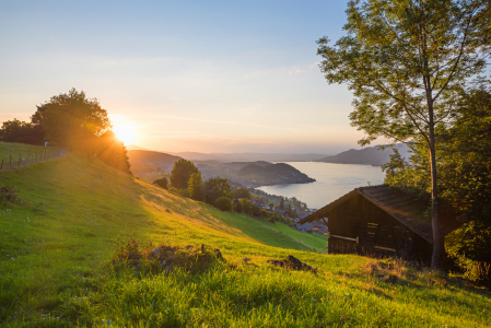 Bild-Nr: 12748601 Abendlicht am Büel in Krattigen Erstellt von: SusaZoom