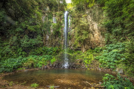 Bild-Nr: 12765197 Wasserfall auf Madeira Erstellt von: Thomas Herzog