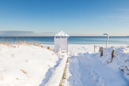 Bild-Nr: 12782305 Schnee in den Ostseedünen Erstellt von: Ursula Reins