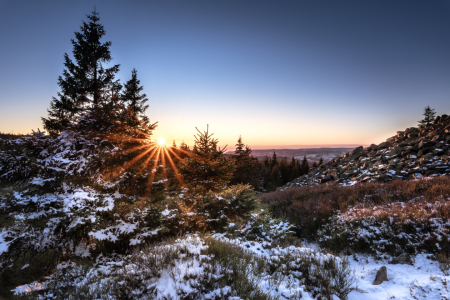 Bild-Nr: 12798296 Sonnengrüße Erstellt von: Steffen Henze