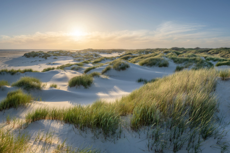 Bild-Nr: 12809509 Dünen bei Sonnenuntergang Erstellt von: eyetronic