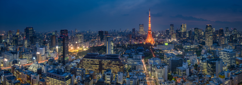 Bild-Nr: 12813233 Tokyo Skyline Panorama bei Nacht Erstellt von: eyetronic
