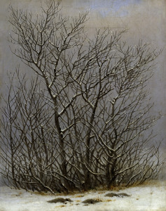 Bild-Nr: 30000312 Friedrich / Bushes in snow / c.1827 Erstellt von: Friedrich, Caspar David
