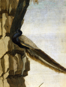 Bild-Nr: 30002712 S.Botticelli, Peacock Erstellt von: Botticelli, Sandro