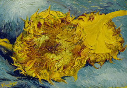 Bild-Nr: 30002854 Van Gogh / Sunflowers / 1887 Erstellt von: van Gogh, Vincent