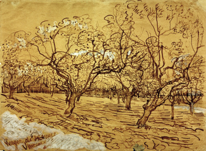 Bild-Nr: 30003220 V.van Gogh, Orchard / Drawing / 1888 Erstellt von: van Gogh, Vincent