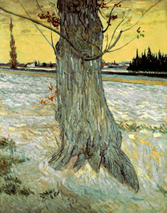 Bild-Nr: 30003464 van Gogh / The Tree / 1888 Erstellt von: van Gogh, Vincent