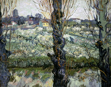 Bild-Nr: 30003474 Van Gogh / View of Arles / 1889 Erstellt von: van Gogh, Vincent