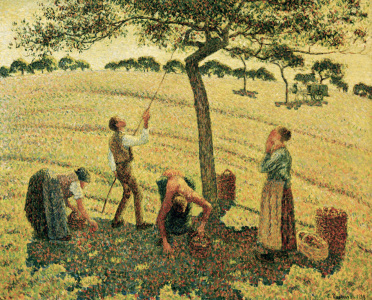 Bild-Nr: 30006290 Pissarro / The Apple Harvest Erstellt von: Pissarro, Camille