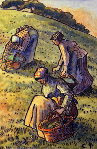 Bild-Nr: 30006300 C.Pissarro, Kraeuter suchende Frauen Erstellt von: Pissarro, Camille