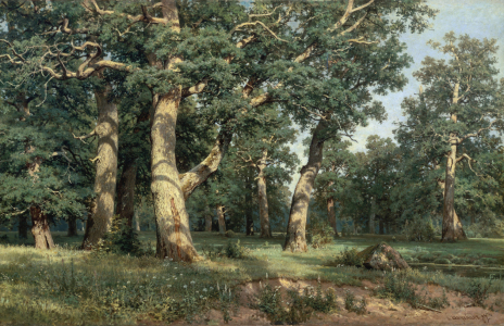 Bild-Nr: 30007977 Shishkin / Oak Grove / Painting / 1887 Erstellt von: Schischkin, Iwan Iwanowitsch