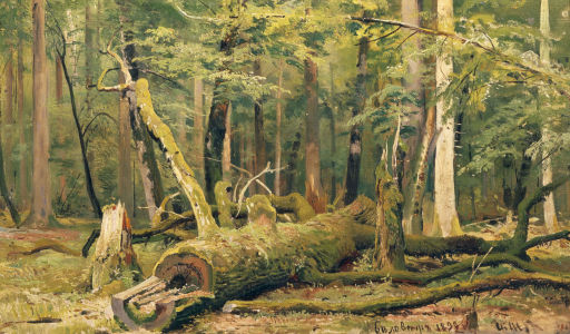 Bild-Nr: 30007979 I.I.Zhishkin / Felled Oak / Ptg./ 1892 Erstellt von: Schischkin, Iwan Iwanowitsch