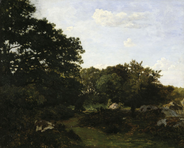 Bild-Nr: 30008693 F.Bazille / Edge of the forest / 1865 Erstellt von: Bazille, Frédéric