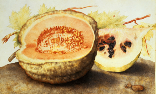 Bild-Nr: 30009104 G.Garzoni, Melone und Granatapfel Erstellt von: Garzoni, Giovanna