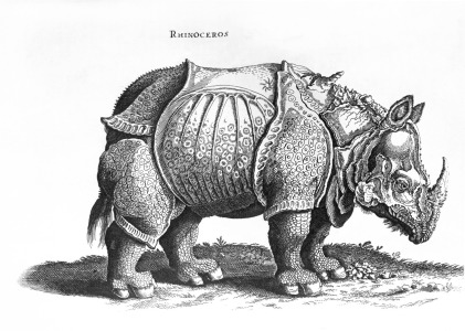 Bild-Nr: 31000373 Rhinoceros, no.76 from 'Historia Animalium' by Conrad Gesner published in July 1 Erstellt von: Dürer, Albrecht
