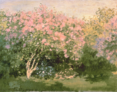 Bild-Nr: 31000859 Lilac in the Sun, 1873 Erstellt von: Monet, Claude