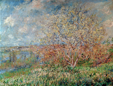 Bild-Nr: 31000868 Spring, 1880-82 Erstellt von: Monet, Claude