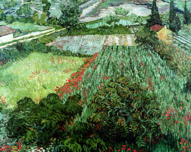 Bild-Nr: 31001367 Field with Poppies, 1889 Erstellt von: van Gogh, Vincent