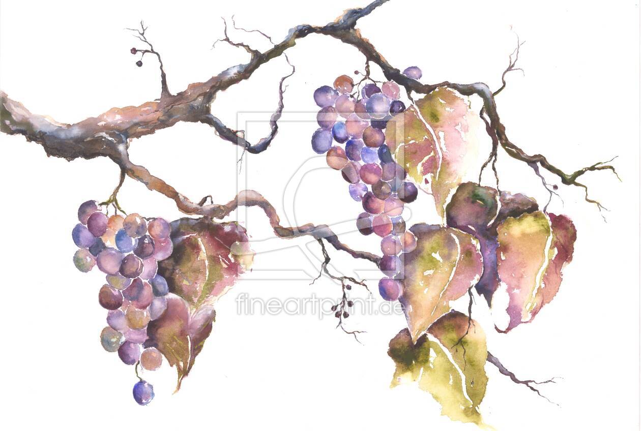 Weintrauben als Leinwanddruck | 10408623 Fine Art