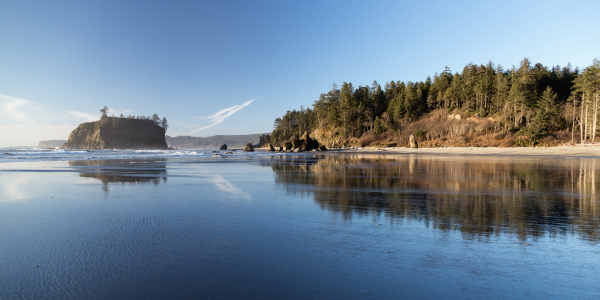 Picture no: 11465208 Ruby Beach - Olympic NP Created by: TomKli