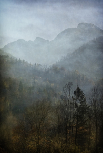 Picture no: 11784090 nebelschönheit - misty beauty Created by: augenWerk