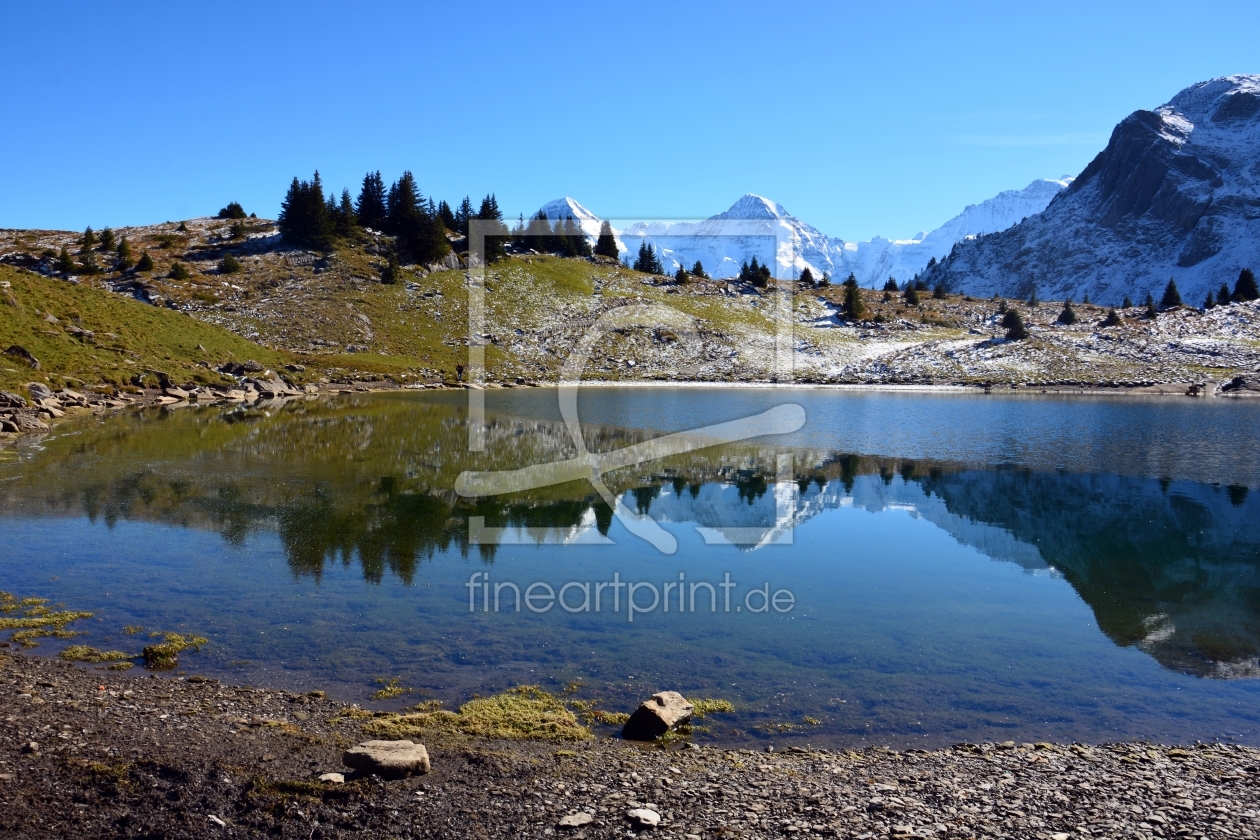 Fotos hochglanz oder seidenmatt 83 Fotos hochglanz oder seidenmatt 6