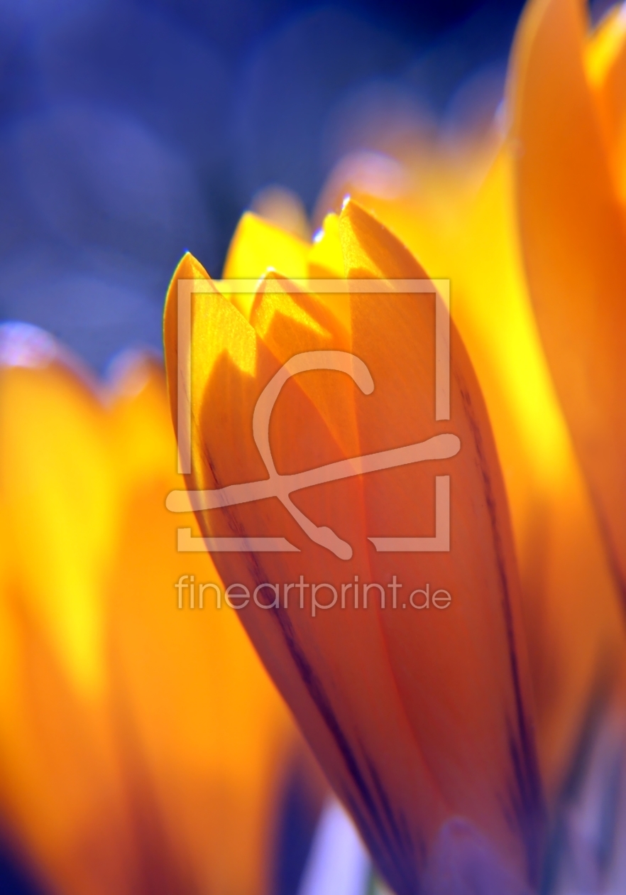 Bild-Nr.: 10002153 Leuchtender Frühling erstellt von youhaveadream