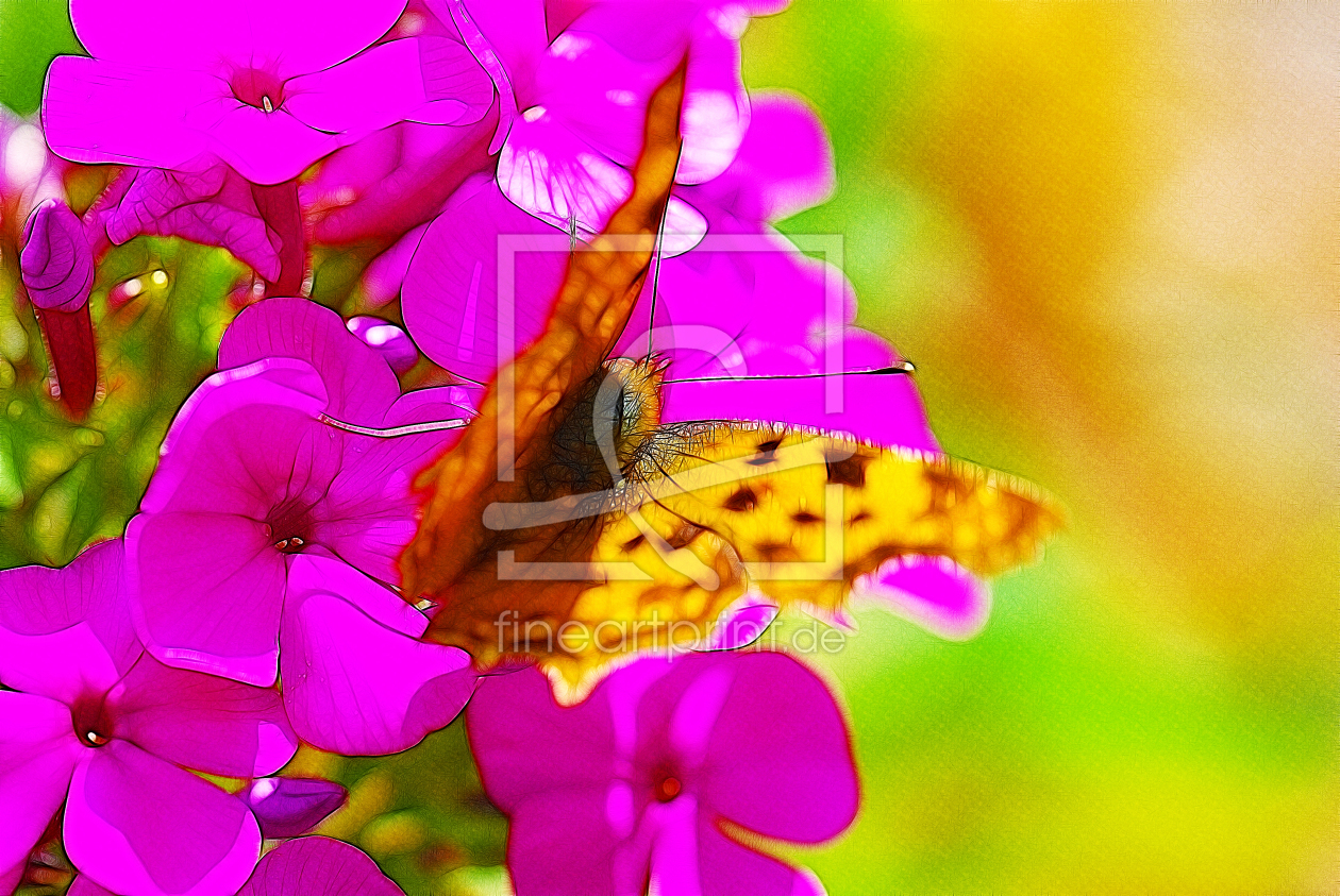 Bild-Nr.: 10002361 Butterfly erstellt von Atteloi