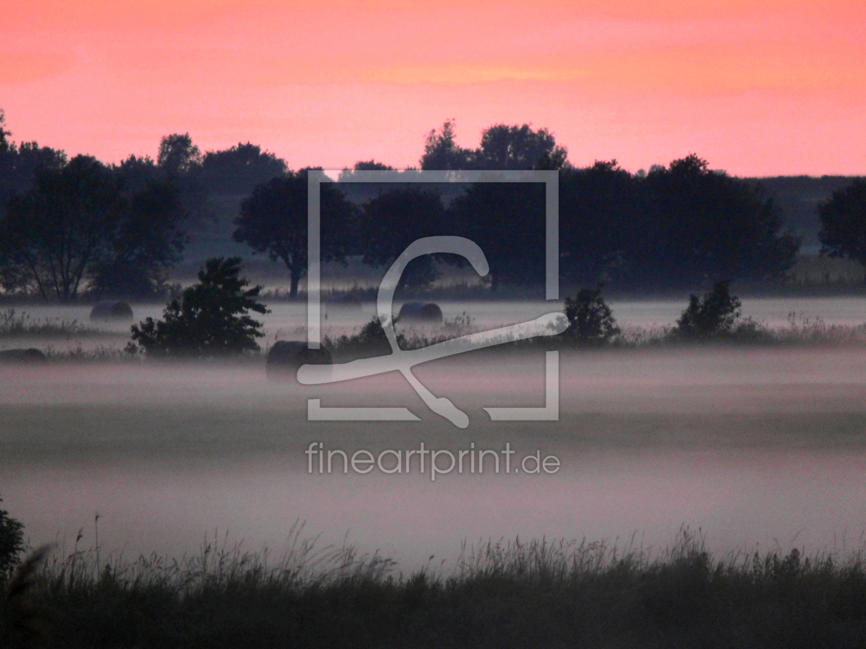 Bild-Nr.: 10002991 Nebelfelder.. erstellt von Ostfriese