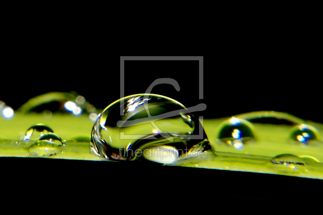 Bild-Nr.: 10003305 Beauty of Rain Bild-Nr.: 10003305 Beauty of Rain erstellt von youhaveadream