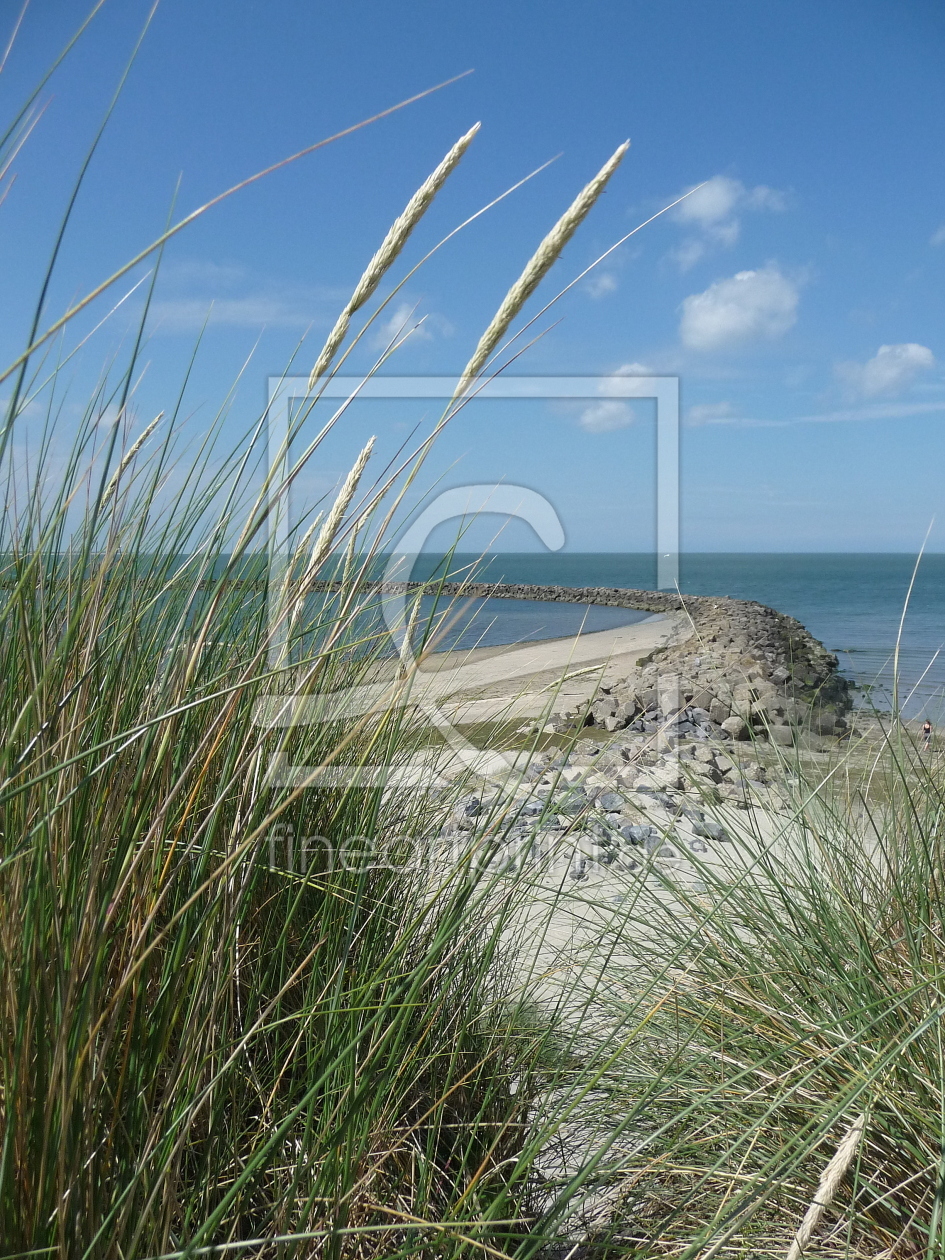 Bild-Nr.: 10004307 Wiegen im Wind erstellt von Susanne Herppich