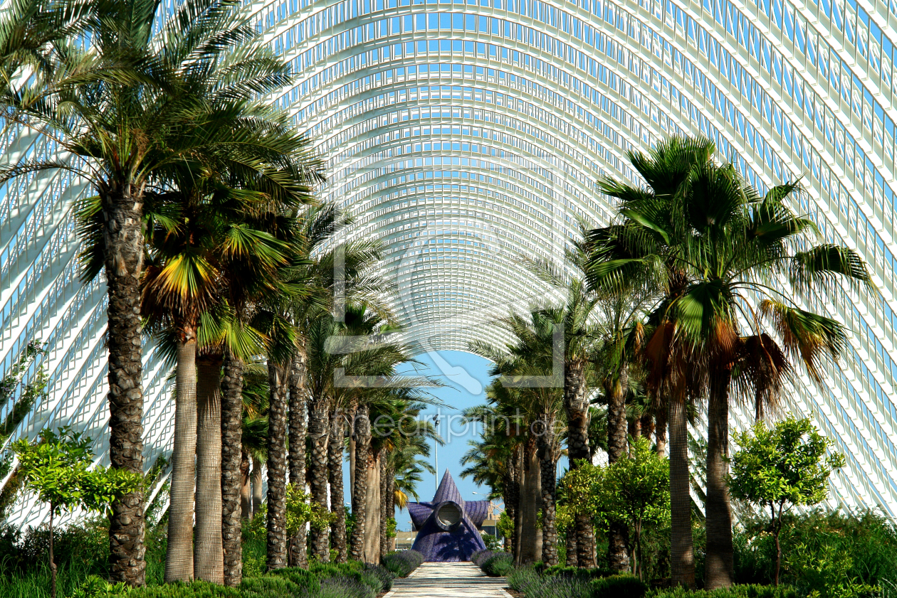 Bild-Nr.: 10004945 Valencia, Ciudad de las Artes y las Ciencias erstellt von Frank Rother