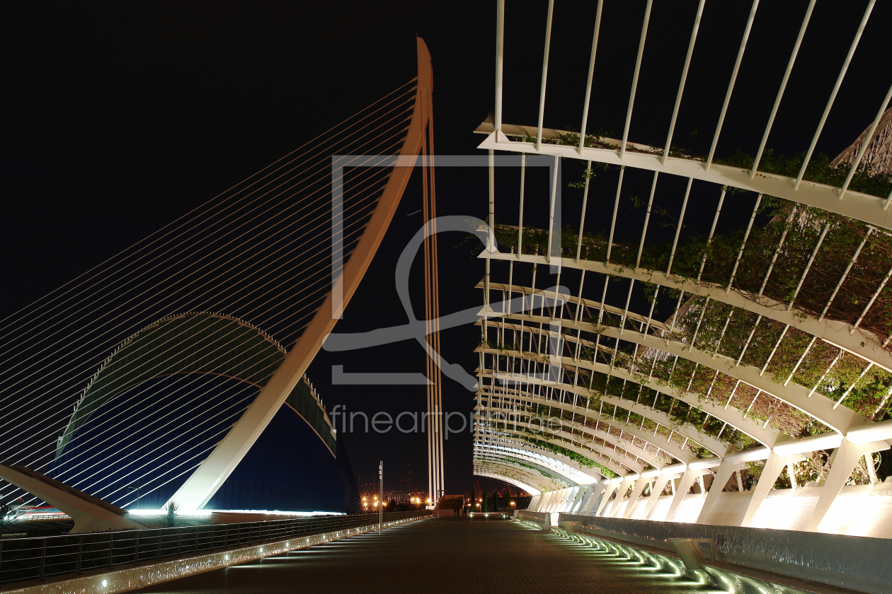 Bild-Nr.: 10008081 Valencia, Ciudad de las Artes y las Ciencias erstellt von Frank Rother