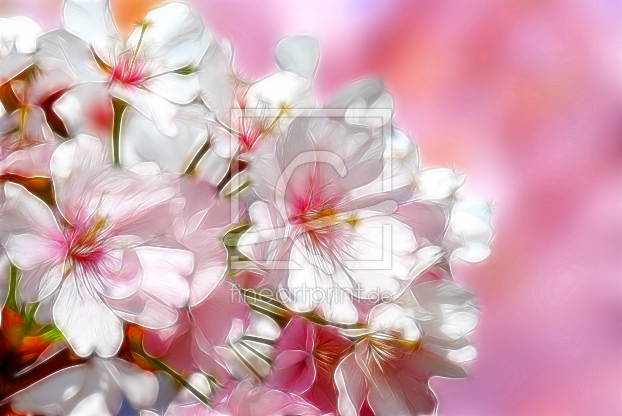 Bild-Nr.: 10010045 Frühlingsblüte erstellt von Atteloi