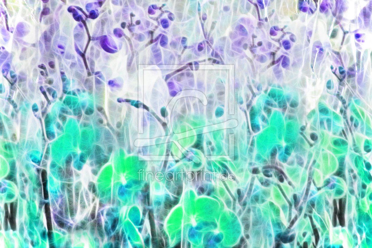 Bild-Nr.: 10011285 Orchidee - Panorama erstellt von Galerie-Fotoeffekt