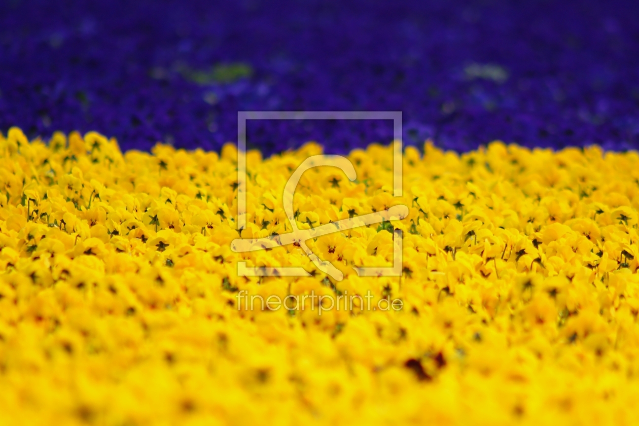 Bild-Nr.: 10012321 Season´s colours erstellt von youhaveadream