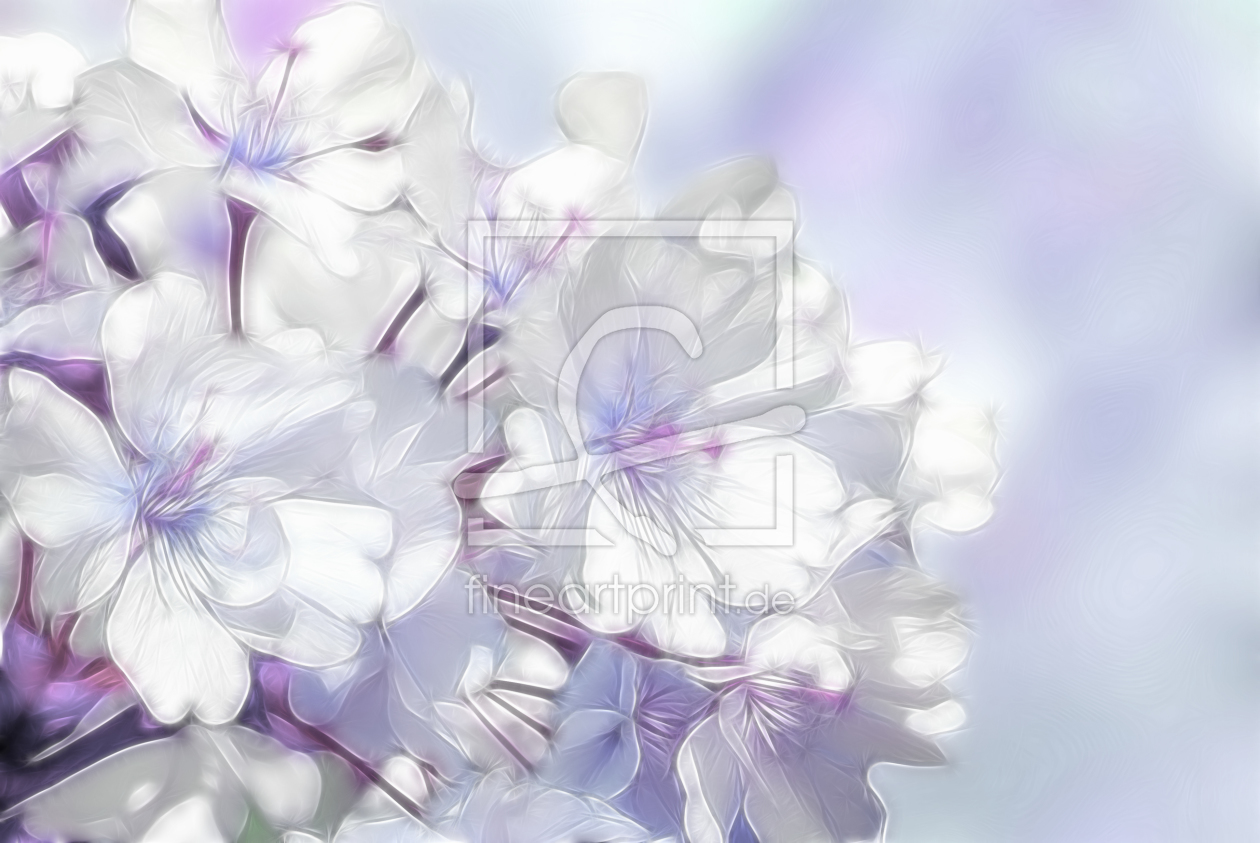 Bild-Nr.: 10013455 Frühlingsblüte erstellt von Atteloi