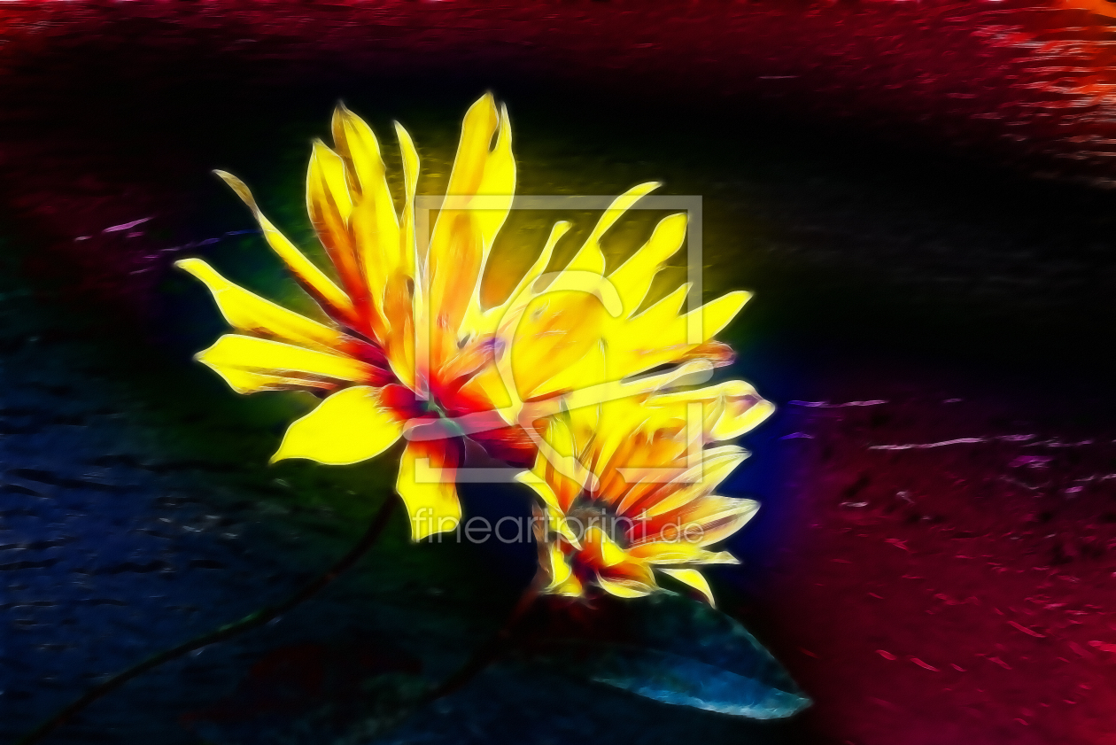 Bild-Nr.: 10014547 Flower Power erstellt von DagmarMarina