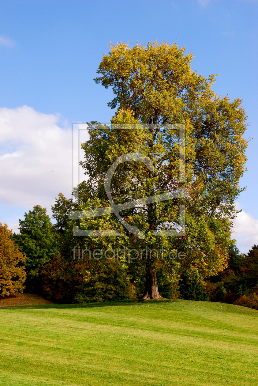 Bild-Nr.: 10015953 Herbstlich erstellt von Atteloi