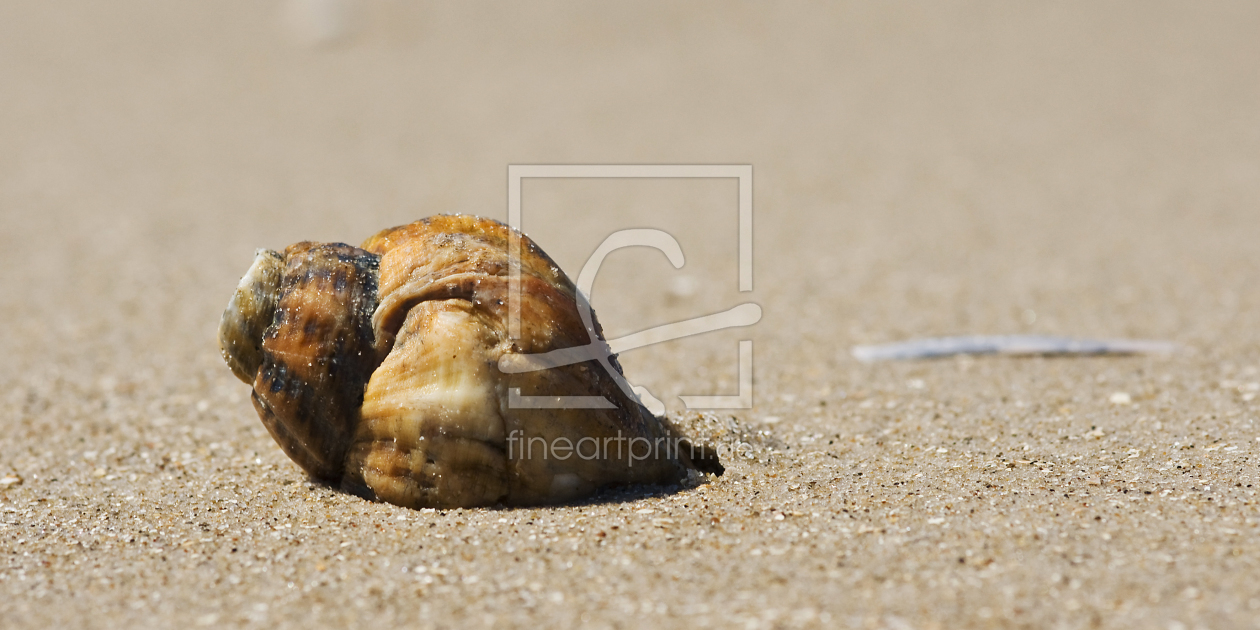 Bild-Nr.: 10016617 Strandhaus erstellt von Armin Redöhl