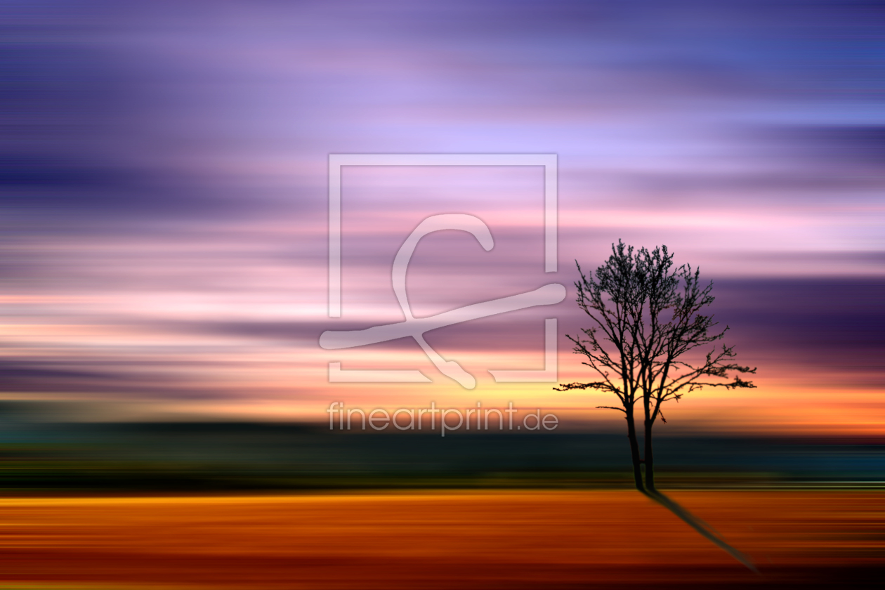 Bild-Nr.: 10022527 Lonely tree erstellt von yammay