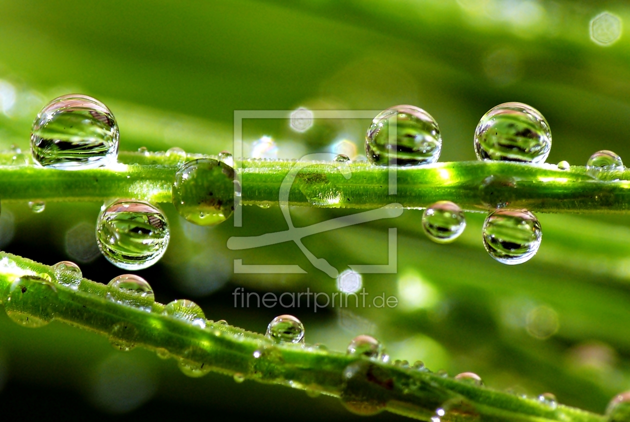 Bild-Nr.: 10024501 Wassertropfen erstellt von gabii40