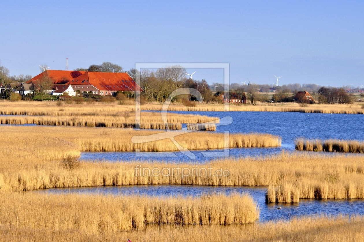 Bild-Nr.: 10026961 Naturschutzgebiet Hauen erstellt von Ostfriese